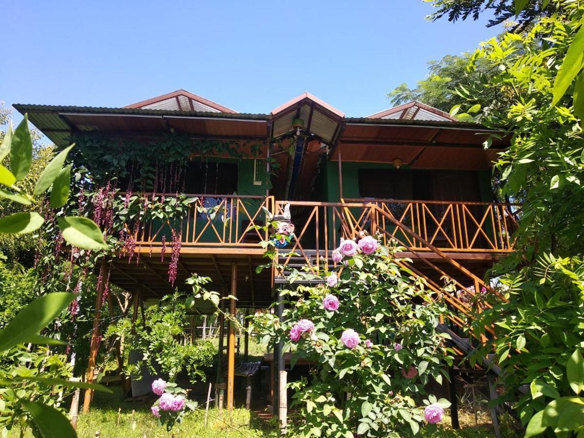 Mist Valley Hotel Masinagudi Luaran gambar