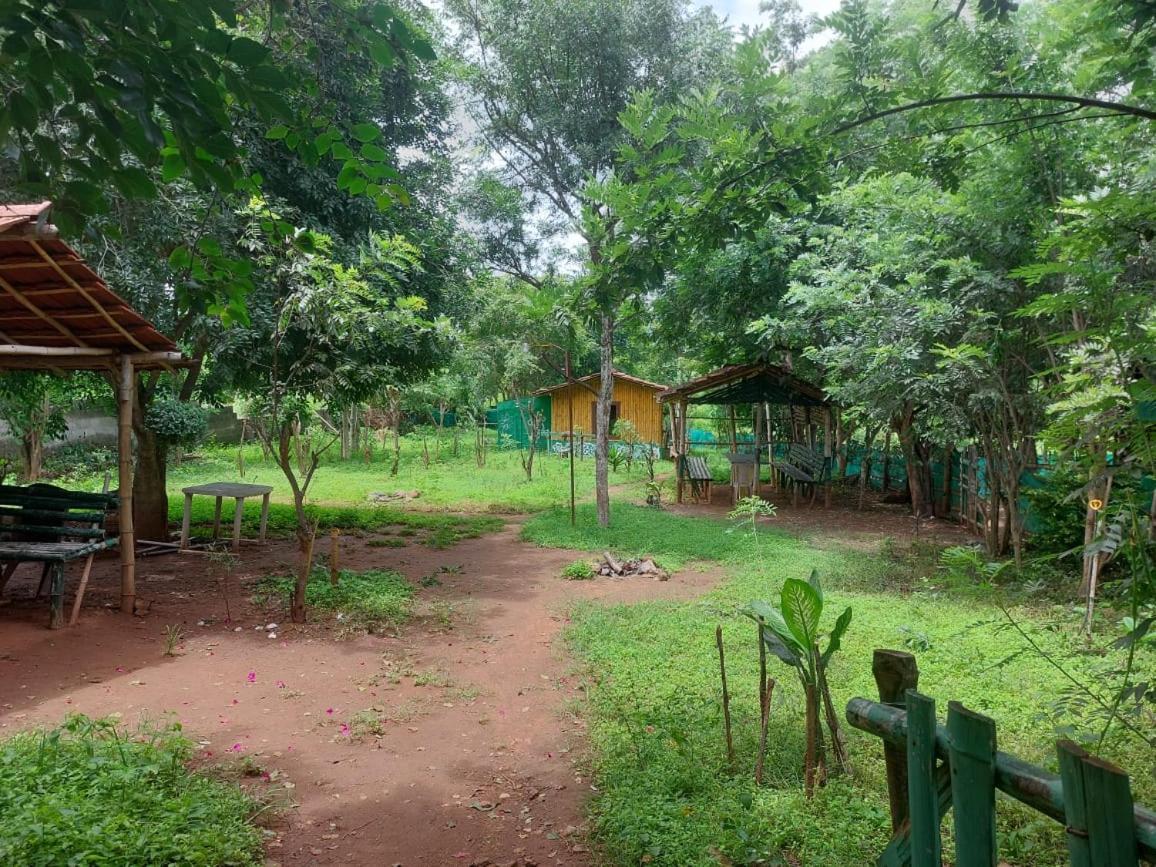 Mist Valley Hotel Masinagudi Luaran gambar