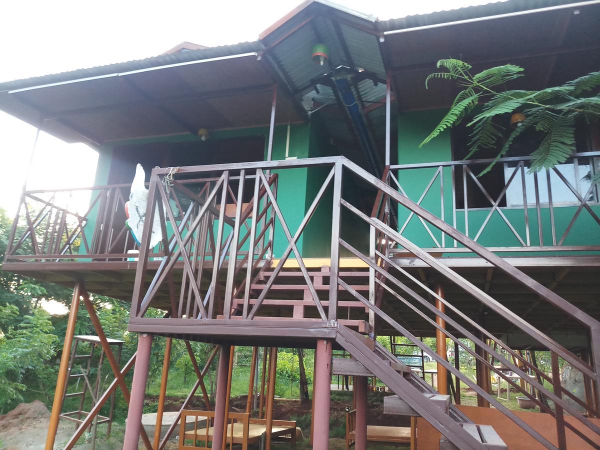 Mist Valley Hotel Masinagudi Luaran gambar